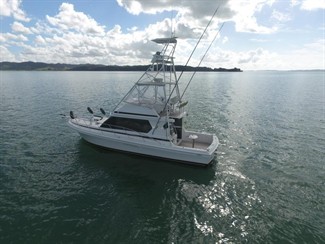 2010 Capricorn Classic 40 - Thumbnail
